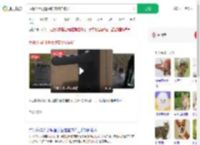 反锁公用门遭撬锁宠物猫被扔_360搜索