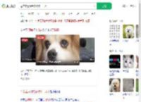母亲立遗嘱给宠物狗十几万_360搜索