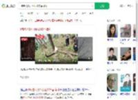 8旬老人砍掉小区20年香樟树_360搜索