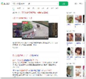 卡皮巴拉出逃俩月胖了一斤多_360搜索