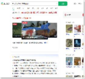 老人被毒蛇咬打4支血清脱险_360搜索