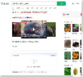 夫妻吃来偷柑橘的竹鼠后肺炎_360搜索