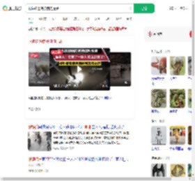 眼镜蛇进院被狗狗提醒_360搜索