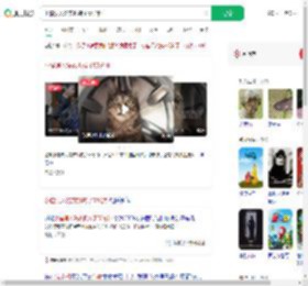 小猫误入洗衣机转了55分钟_360搜索