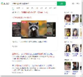 小浣熊出逃50多天后车祸受伤_360搜索