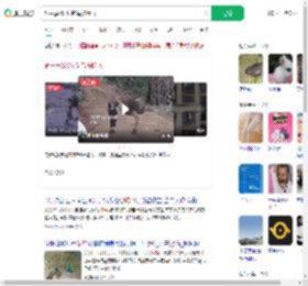 饲主摸250斤鸵鸟被踹飞_360搜索